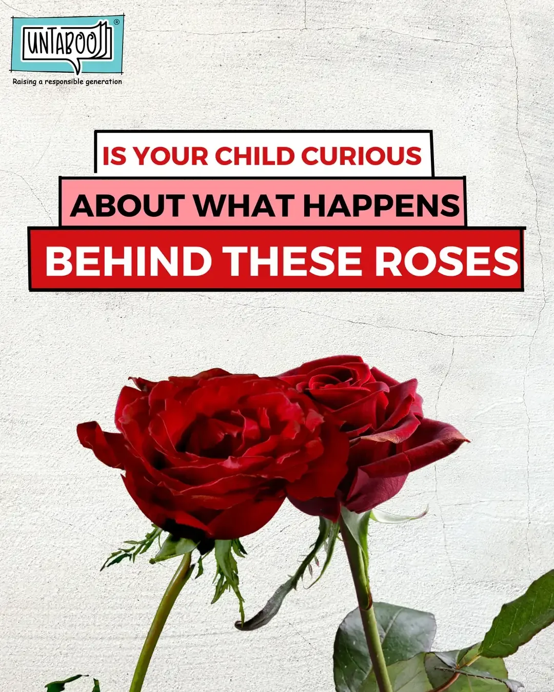 Untaboo Instagram post with red roses